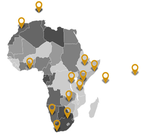 Grail Activity & Project Map
